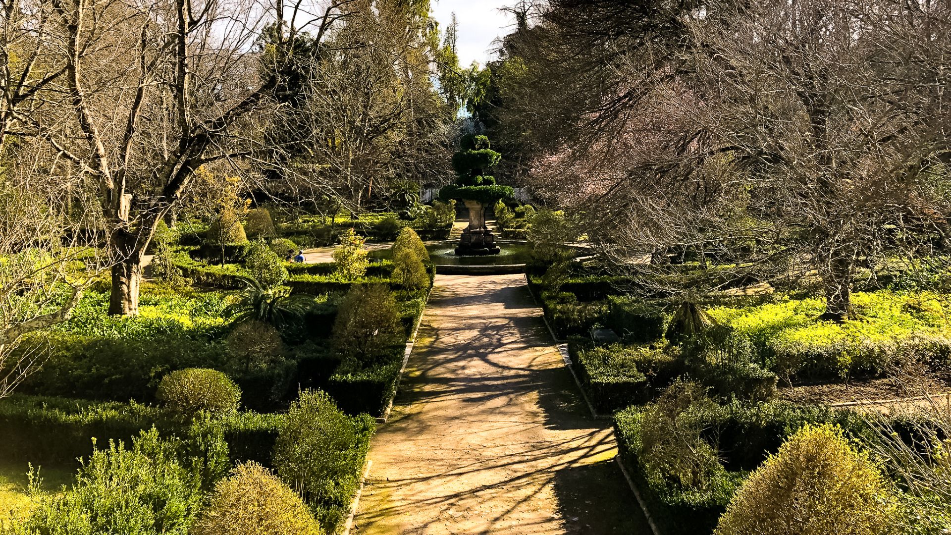 This image captures the serene and structured beauty of the Coimbra Botanical Garden, showcasing its well-maintained pathways, meticulously sculpted hedges, and diverse plant life under a clear sky. 