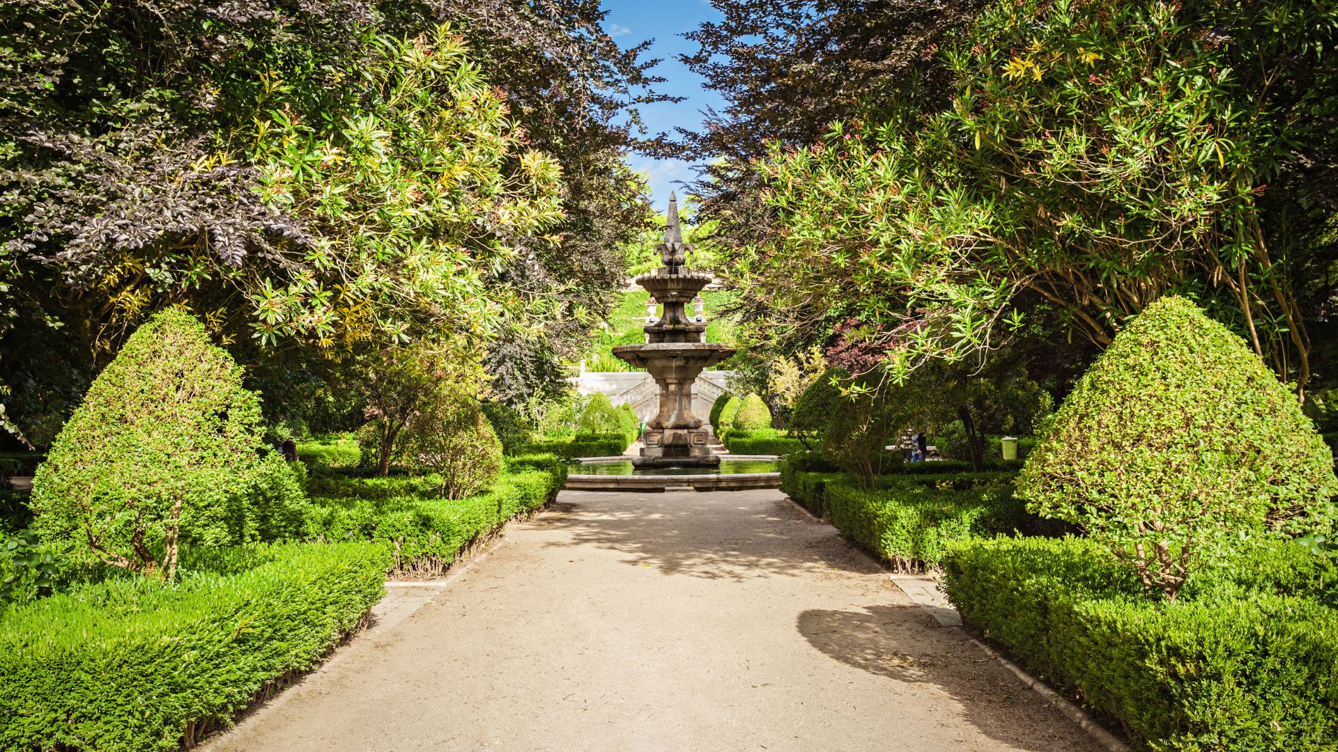 This image captures the serene and structured beauty of the Coimbra Botanical Garden, showcasing its well-maintained pathways, meticulously sculpted hedges, and diverse plant life under a clear sky. 