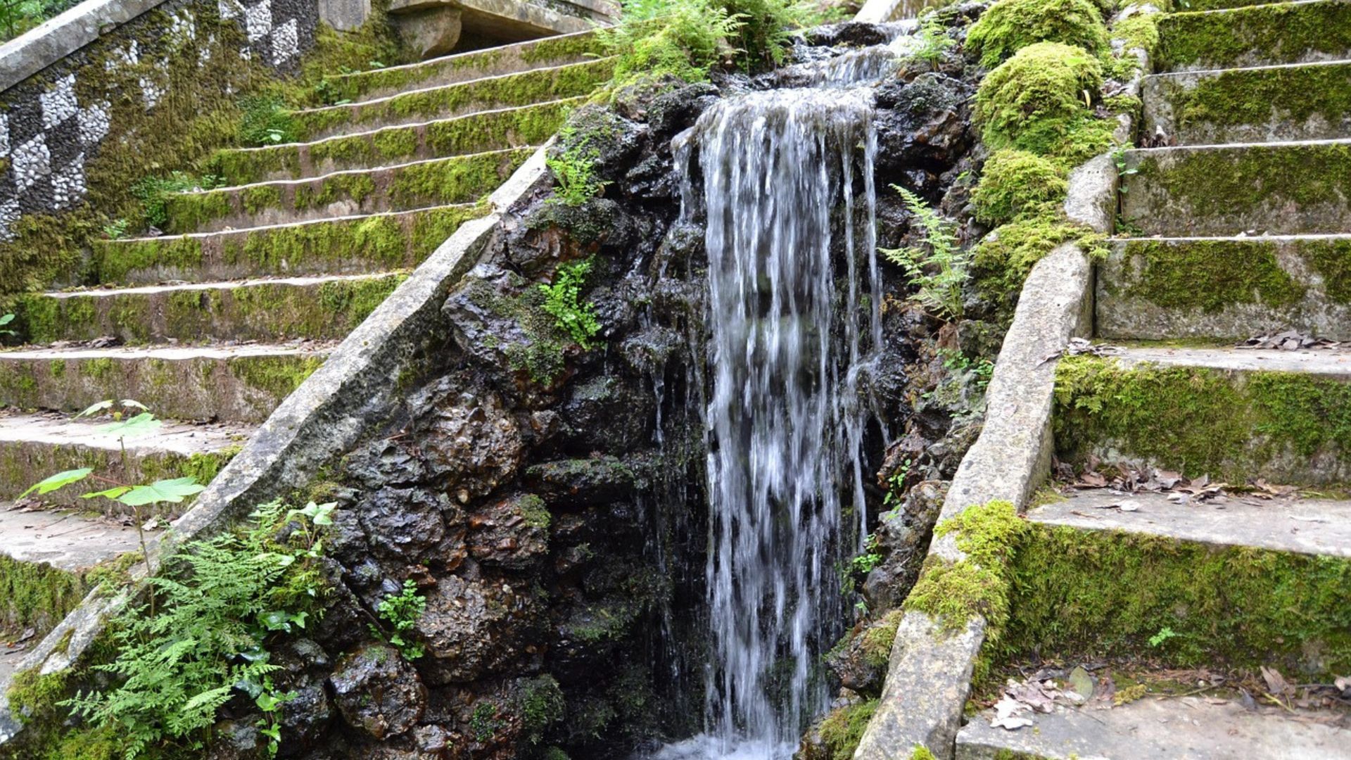 A small man-made waterfall cascades down a rocky, moss-covered embankment between two sections of a wide stone staircase, also covered in moss, within a lush forest setting.