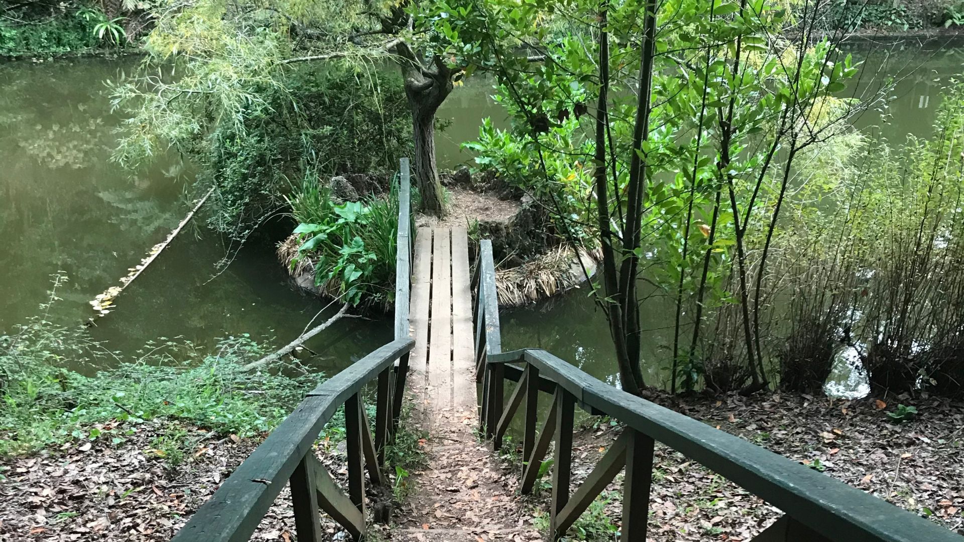 A wooden bridge with dark railings extends over a pond, leading to a small, lush island with a single tree, surrounded by dense greenery and trees on the far bank.