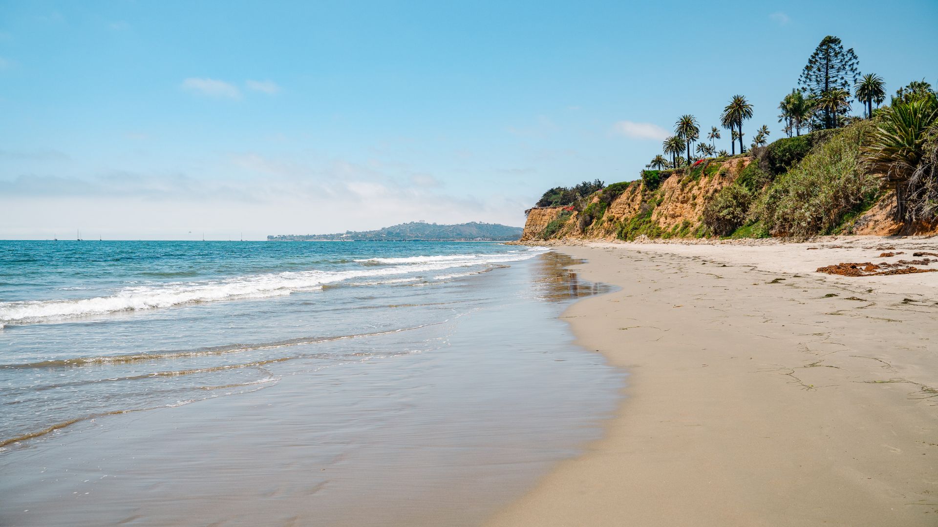 A wide shot of Butterfly Beach in Montecito, California, showing the Pacific Ocean with gentle waves reaching the sandy shore, backed by a bluff with lush green vegetation and palm trees under a clear blue sky.