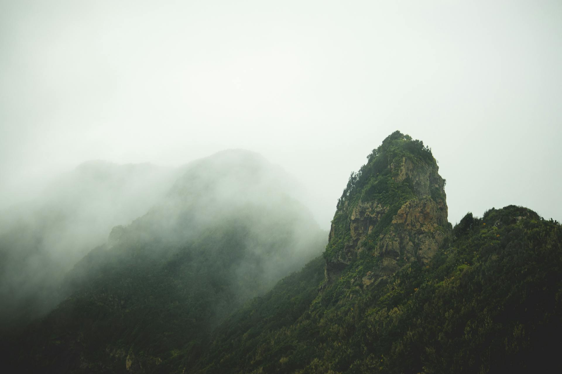 Mist drifting through the cliffs and trees of Caldera de Taburiente in the early morning light