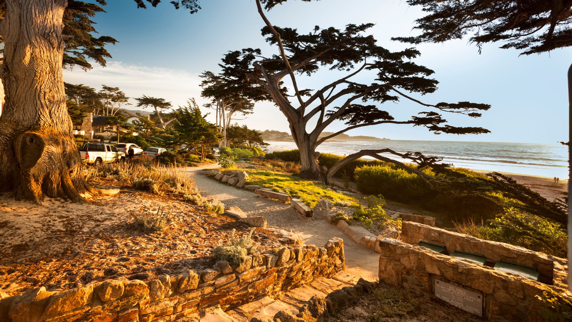 A scenic view of Carmel Beach in Carmel-by-the-Sea, California, featuring a winding pathway alongside iconic cypress trees, leading down to a white sand beach and the Pacific Ocean under a clear sky.