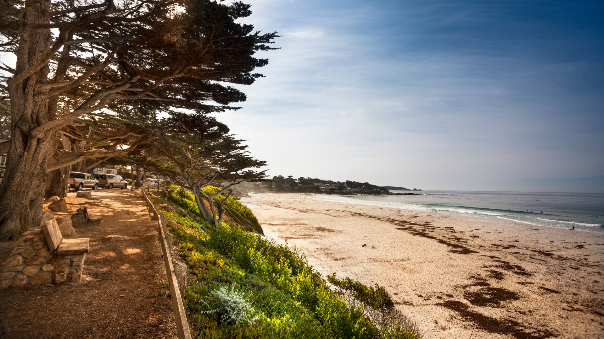 A wide shot of a sandy beach with gentle waves, lined by a pathway and mature cypress trees on the left, under a bright, partly cloudy sky. A few cars are visible in the distance along the pathway.