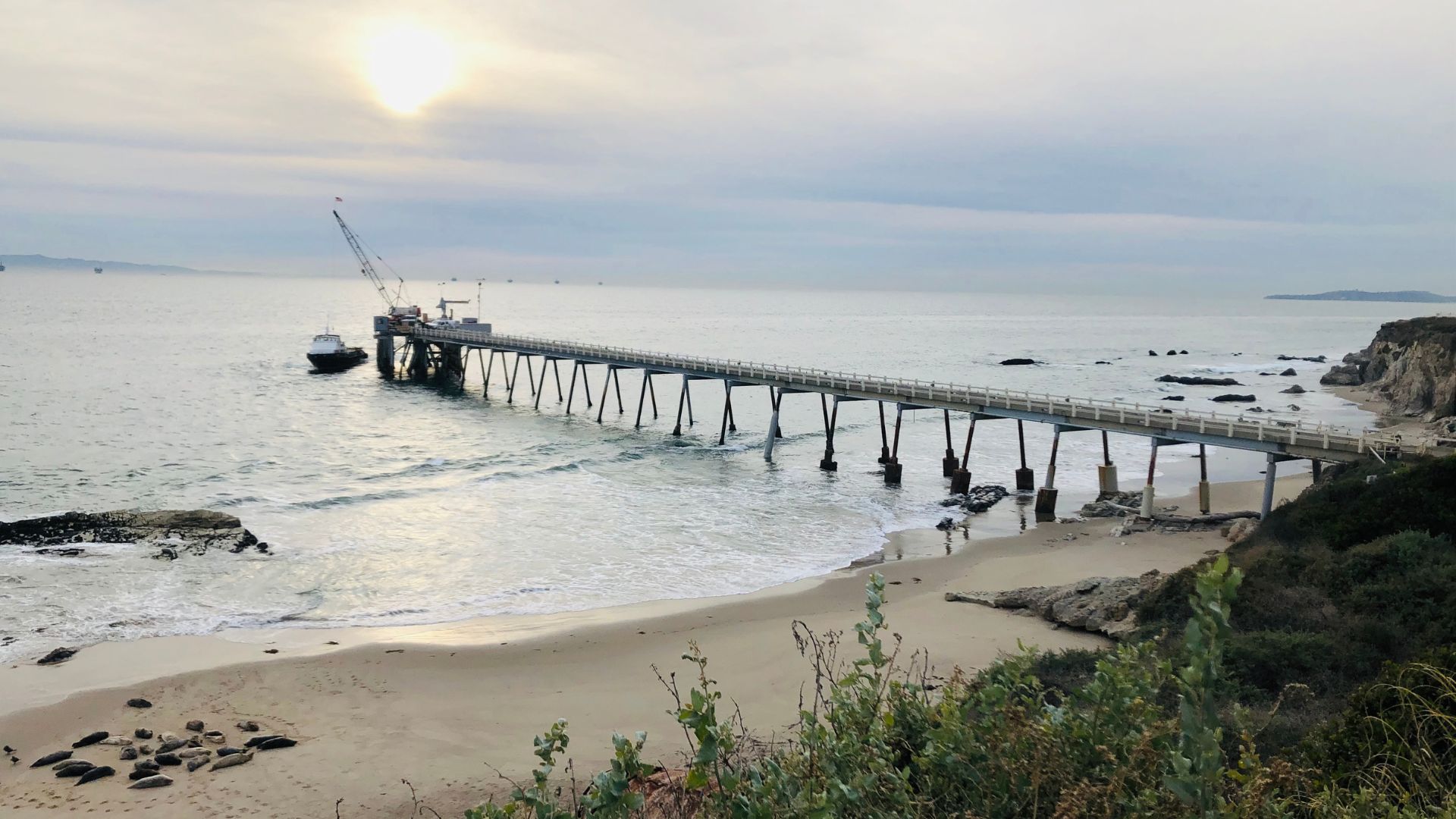 A panoramic view of Carpinteria State Beach in California, featuring a long pier extending into the ocean under a bright sky, with waves breaking on the sandy shore where dark, naturally occurring tar pits are visible.