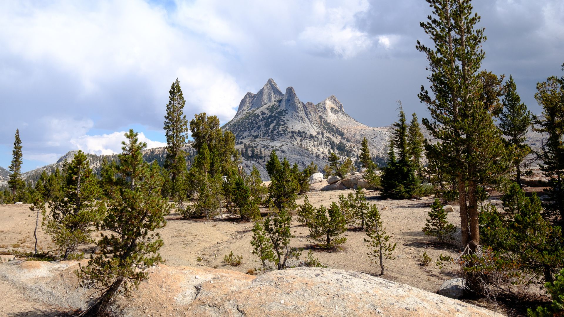 A prominent, jagged mountain peak, Cathedral Peak, rises above a landscape of scattered pine trees, bare ground, and rocky formations under a partly cloudy sky in Yosemite National Park, California.