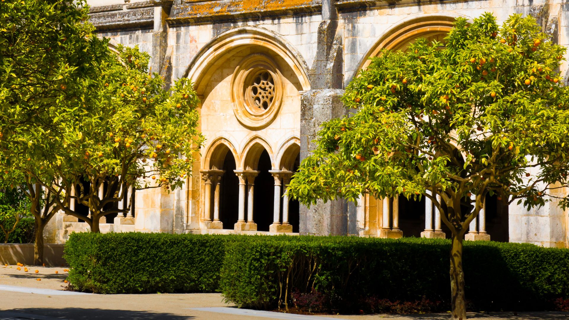 A sunny image of the Cloister of Silence at the Alcobaça Monastery in Portugal, featuring green hedges and orange trees in the foreground, with the ornate stone arches and columns of the cloister visible behind them.