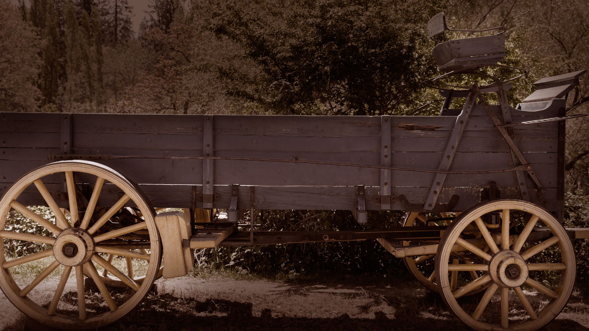 A side view of a large, rustic wooden wagon with light-colored wooden spoked wheels and a dark wooden bed, positioned outdoors with a blurred background of trees and foliage, suggesting a historical or natural setting.
