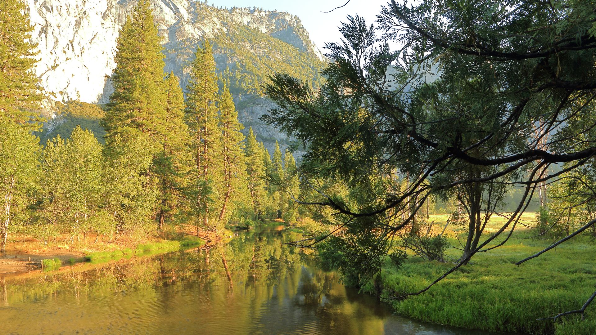 A scenic view of the Merced River winding through a lush meadow with evergreen trees and towering granite mountains reflected in the water under a clear sky in Yosemite National Park, California.