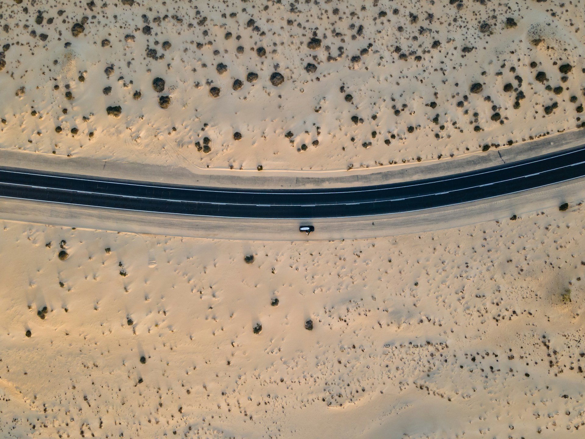 Expansive sand dunes of Corralejo Dunes National Park