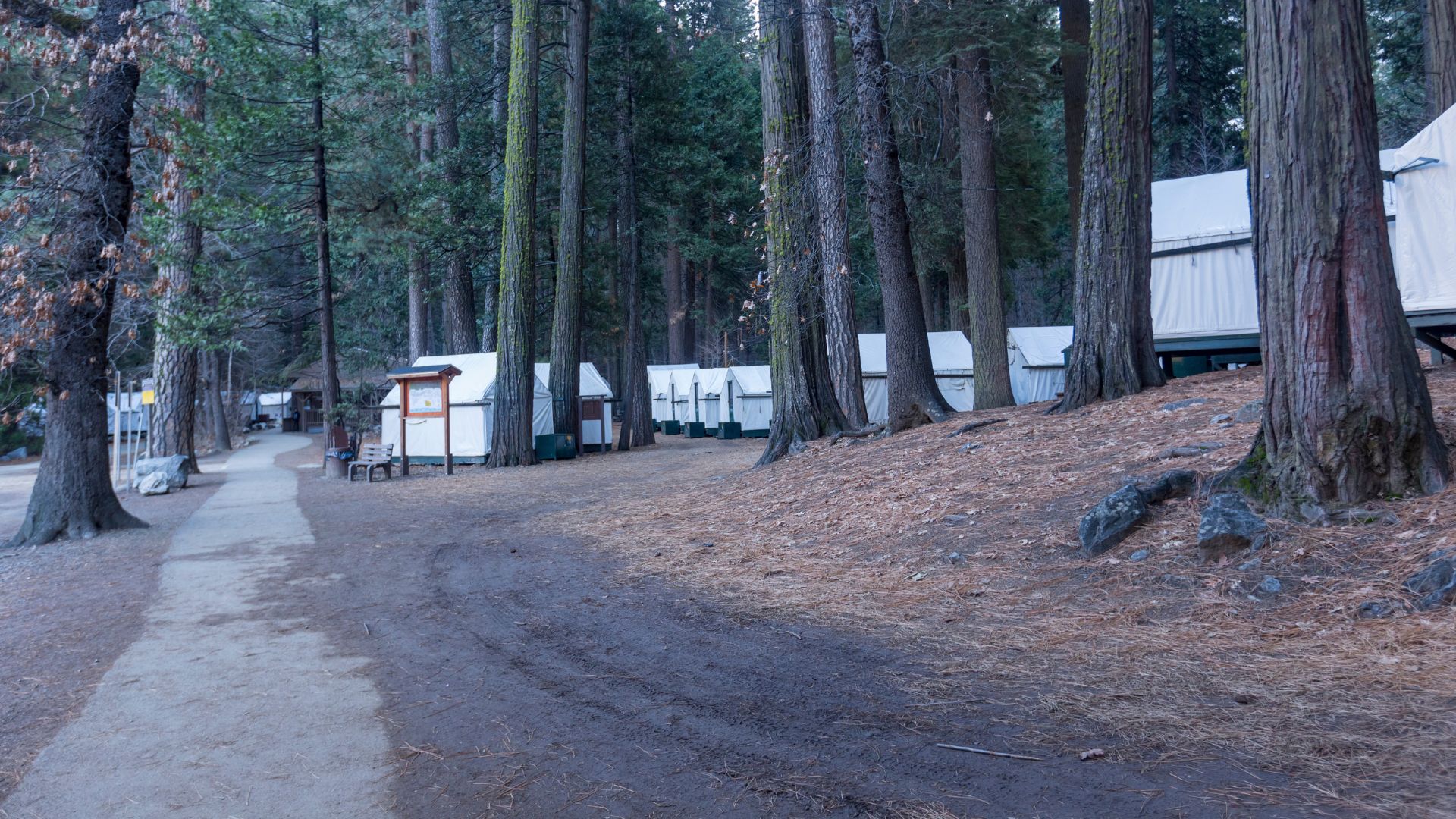 A dirt path and a paved walkway wind through a forest of tall trees, leading towards rows of white tent cabins and small structures within what appears to be a camp or village setting.