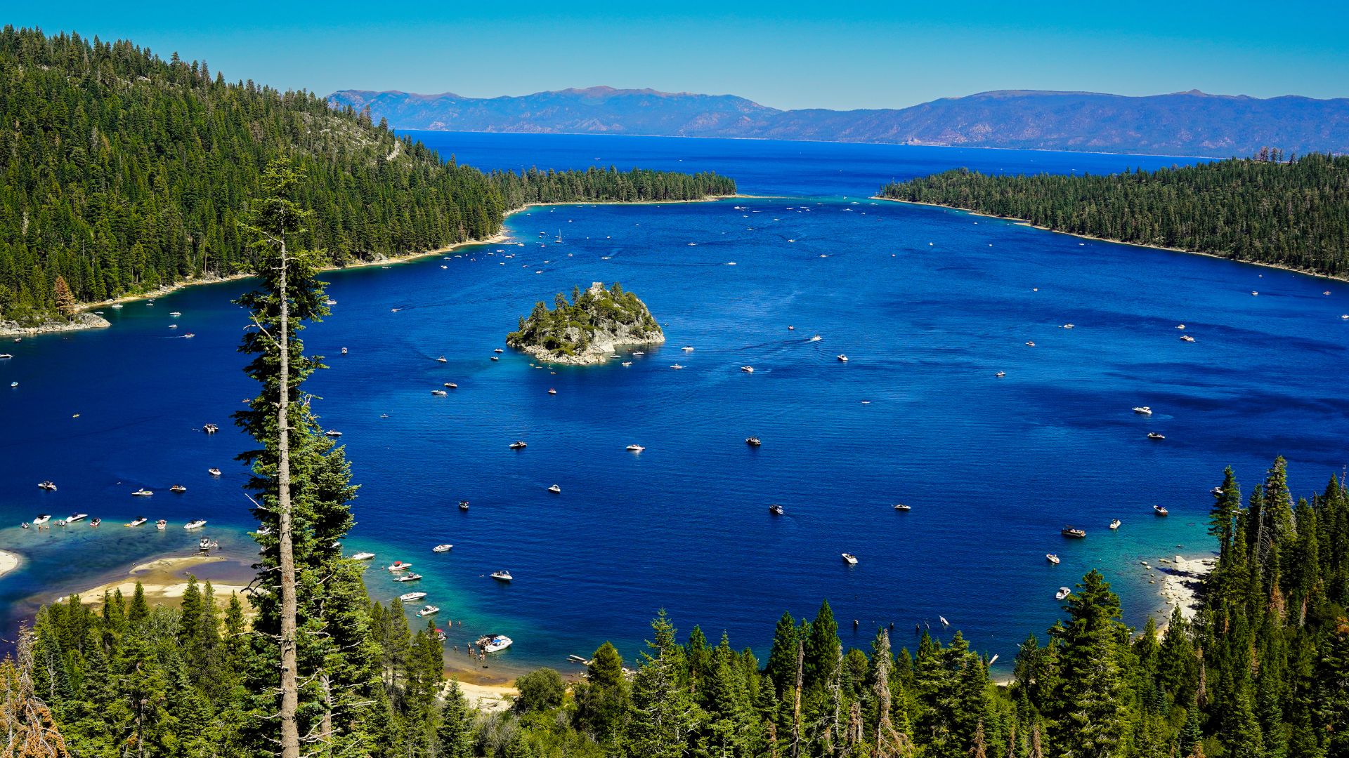 A panoramic view of Emerald Bay in Lake Tahoe, California, showing clear blue water, a small forested island (Fannette Island) in the center, and dense pine forests on the surrounding mountains under a blue sky.