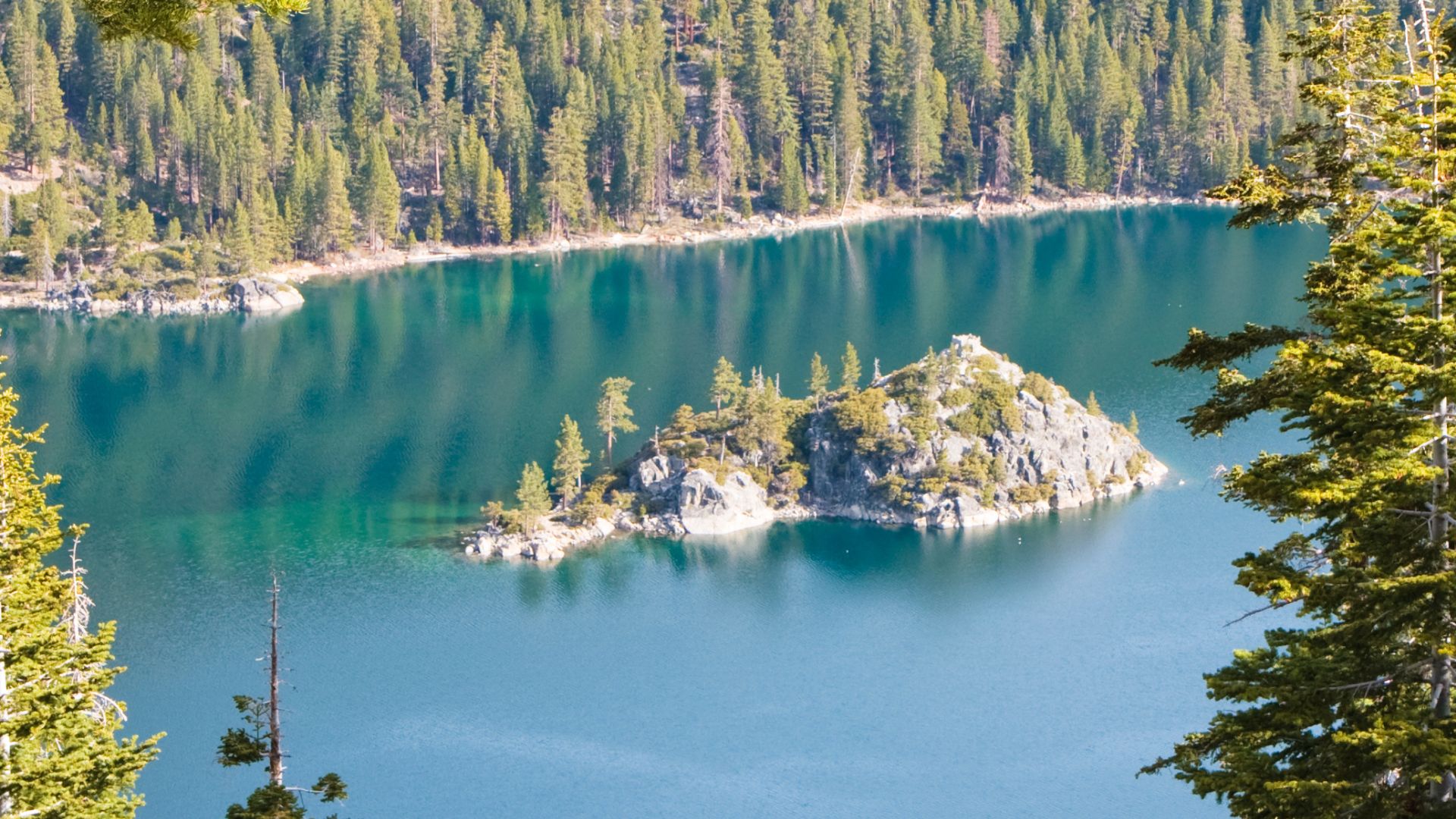 A small, rocky island with scattered pine trees sits in the turquoise waters of Emerald Bay, Lake Tahoe, with a forested shoreline in the background under a clear sky.