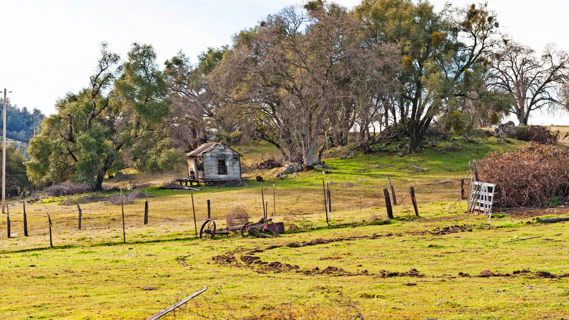 A rustic, weathered wooden cabin with a peaked roof stands on a grassy hillside, surrounded by scattered trees with bare branches, under a bright sky. In the foreground, a field with green and yellow grass shows faint tracks and includes old fence posts and a discarded metal object, possibly farming equipment.
