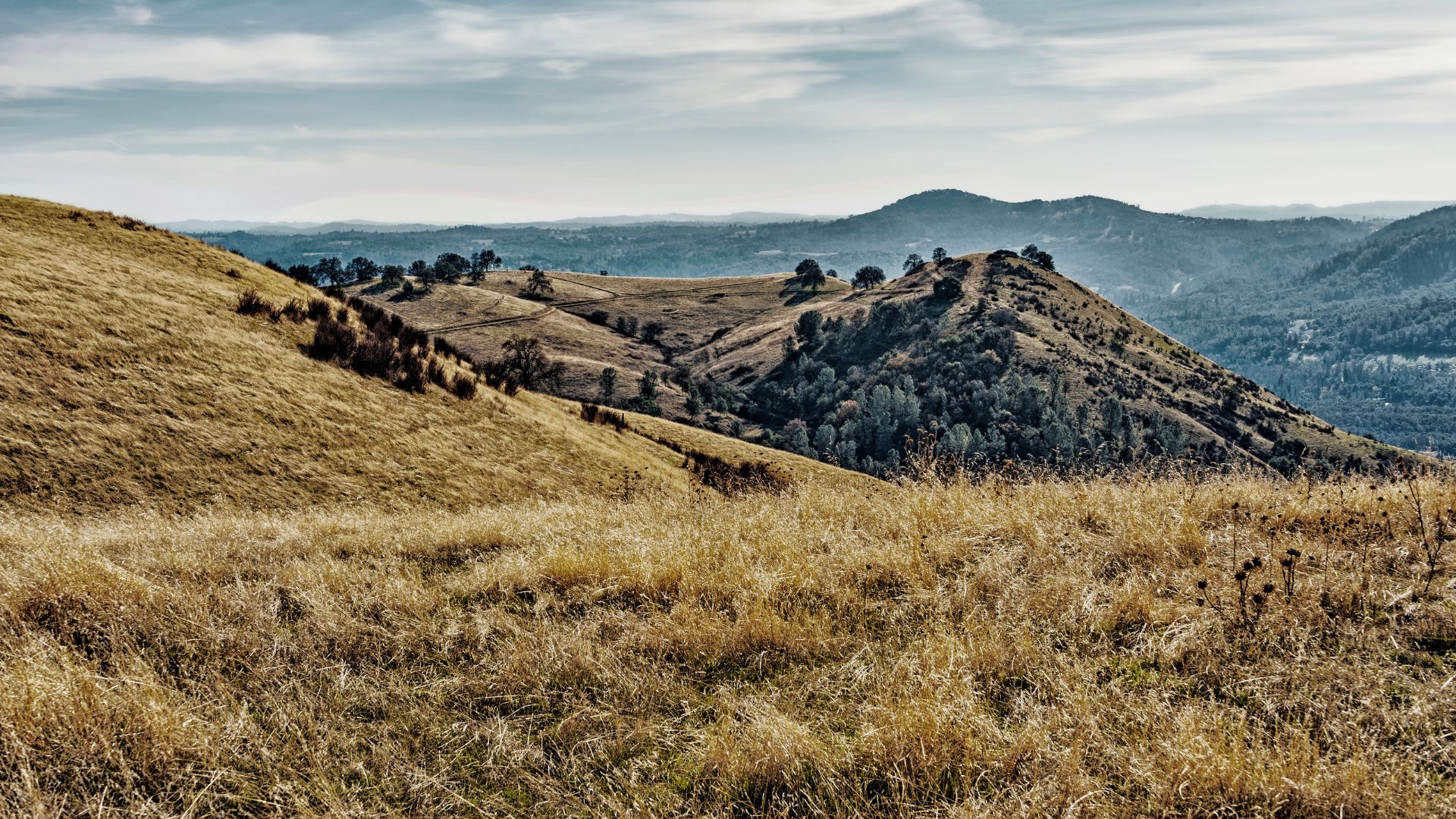 A wide shot of golden, dry grassy hills and valleys in Northern California's Gold Country under a partly cloudy sky. Scattered trees dot the hillsides, and distant mountains are visible in the background.