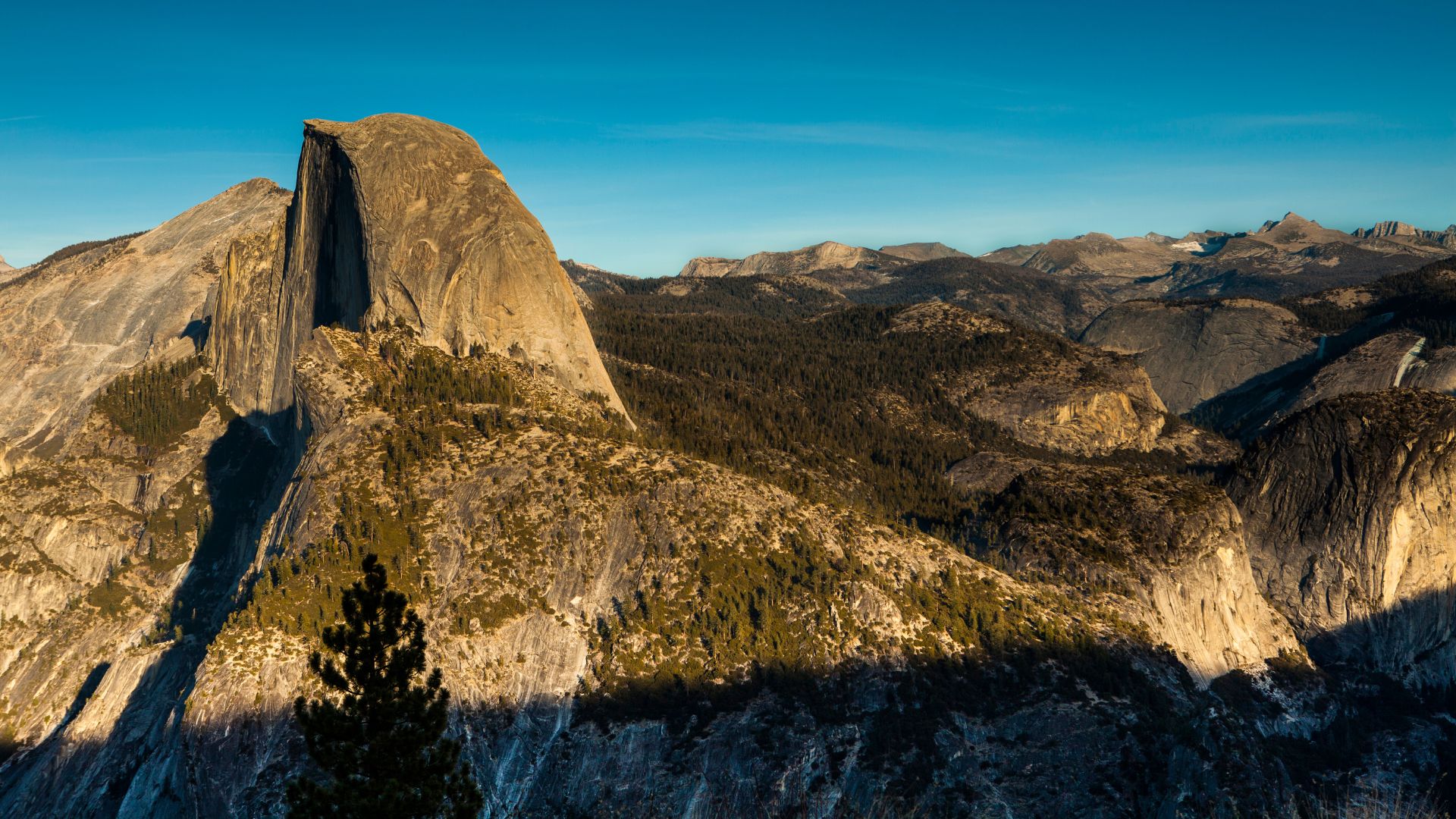 An aerial view of Half Dome, a distinct granite rock formation with a sheer vertical face, rising above a forested valley in Yosemite National Park, California, under a clear blue sky. The surrounding landscape features other rugged, tree-covered mountains and valleys.