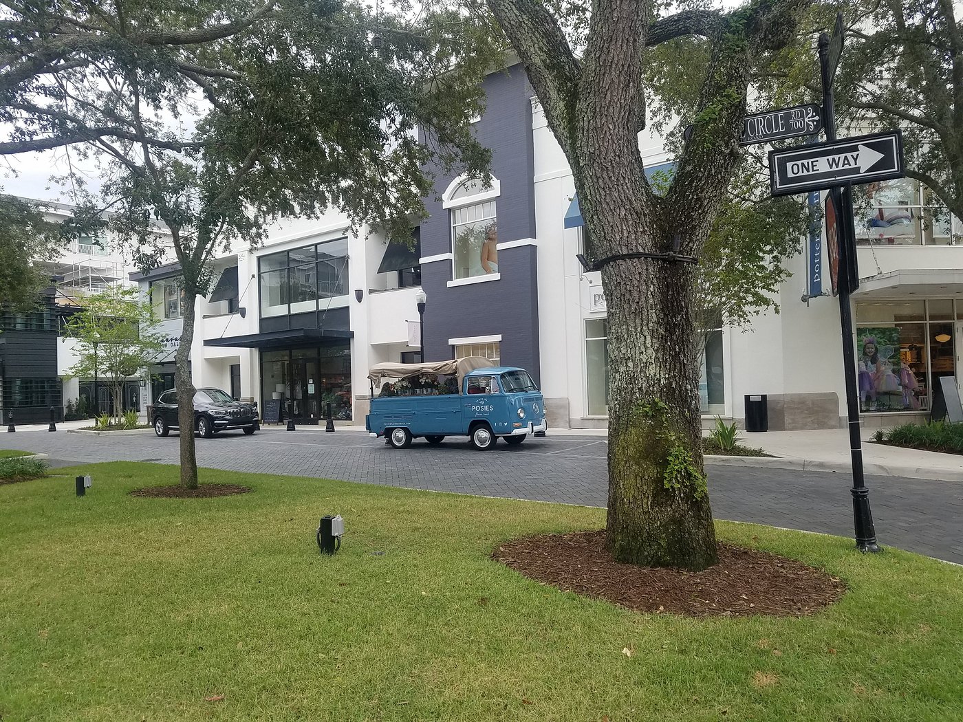 Tree-lined street in Tampa’s Hyde Park neighborhood