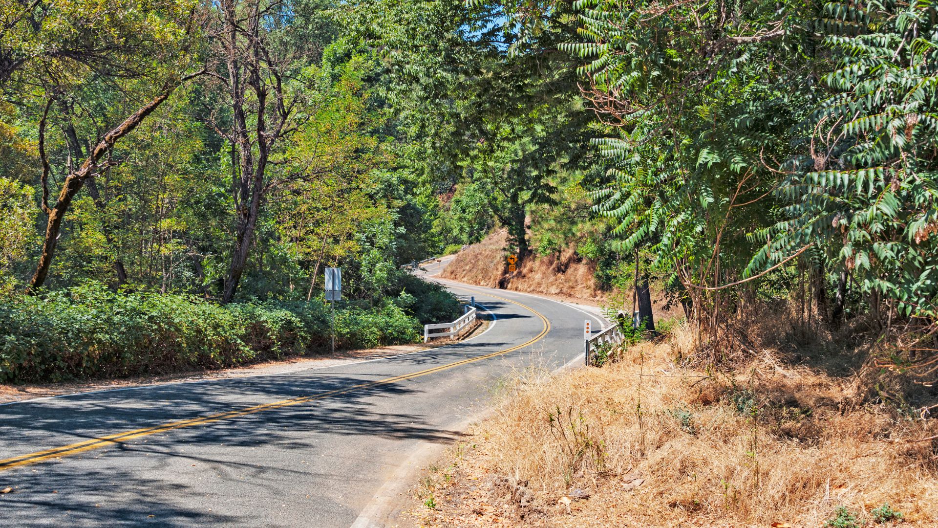 A winding, paved road curves through a dense, sun-dappled forest, with green trees and undergrowth lining both sides of the asphalt. A metal guardrail is visible along the right side of the road as it follows the curve.
