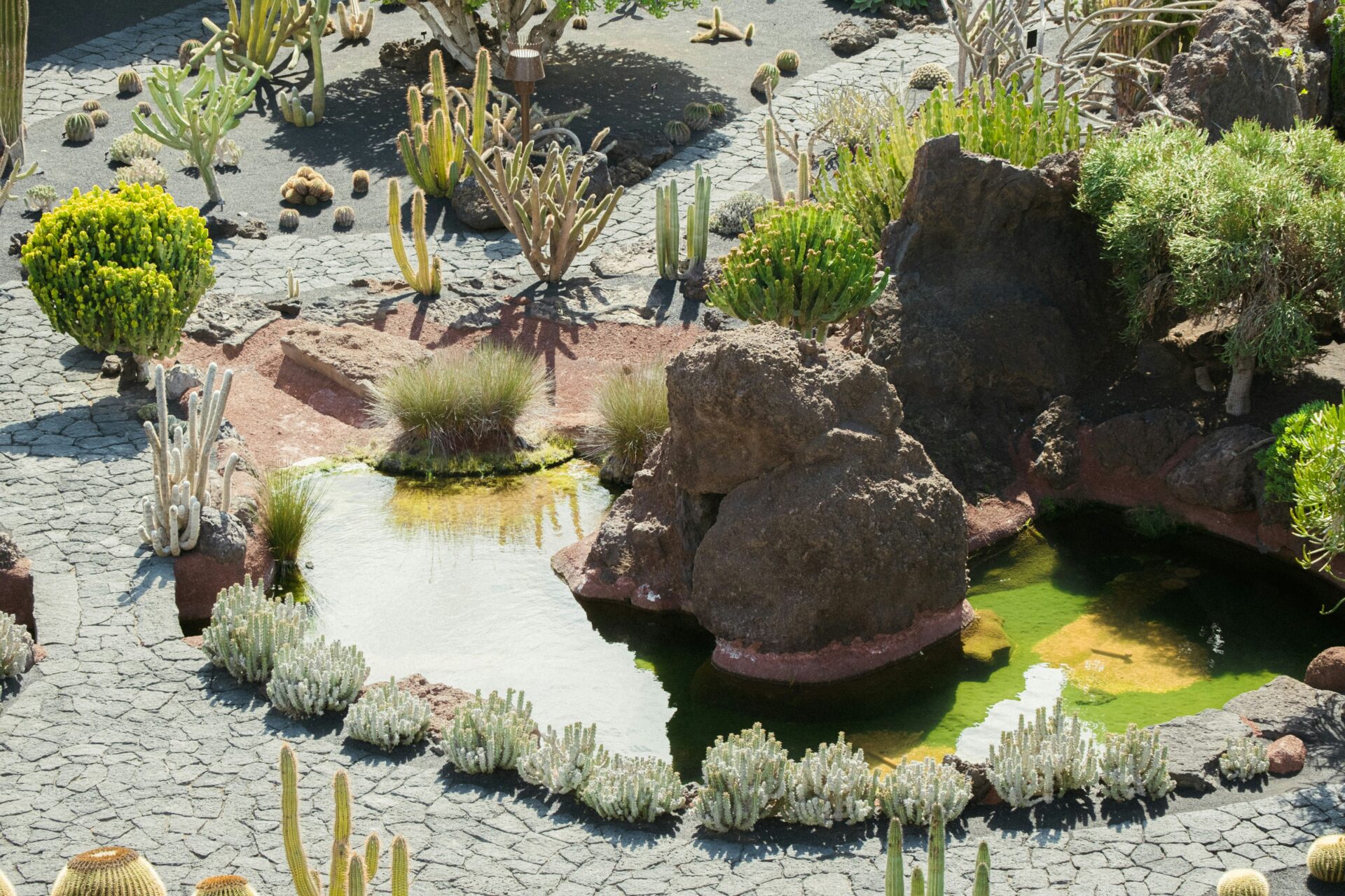 Scenic view of the sunlit Jardín de Cactus in Lanzarote