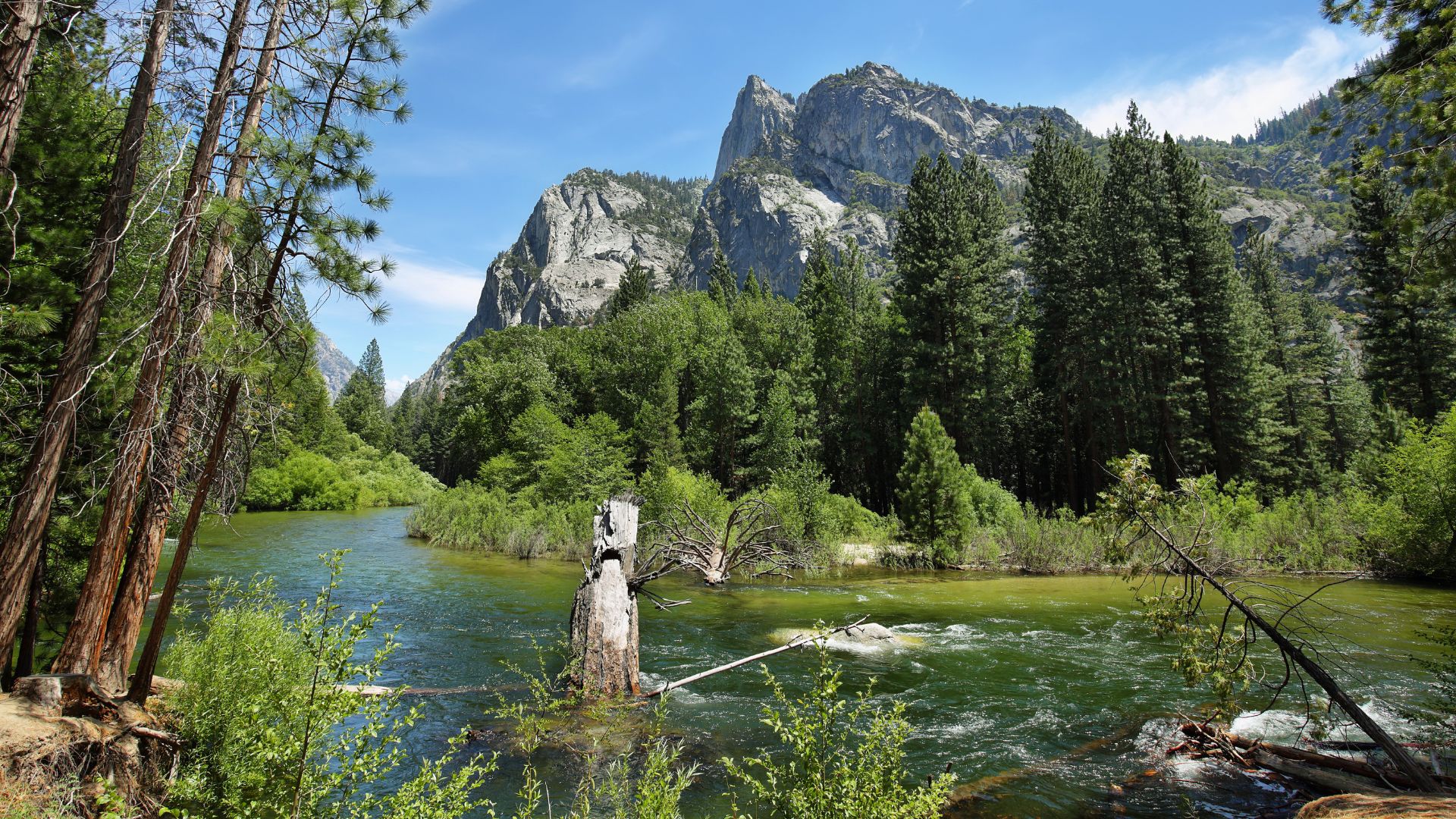 A wide shot of a river winding through a valley with lush green trees and prominent granite mountains under a clear blue sky, likely within Kings Canyon National Park, California.