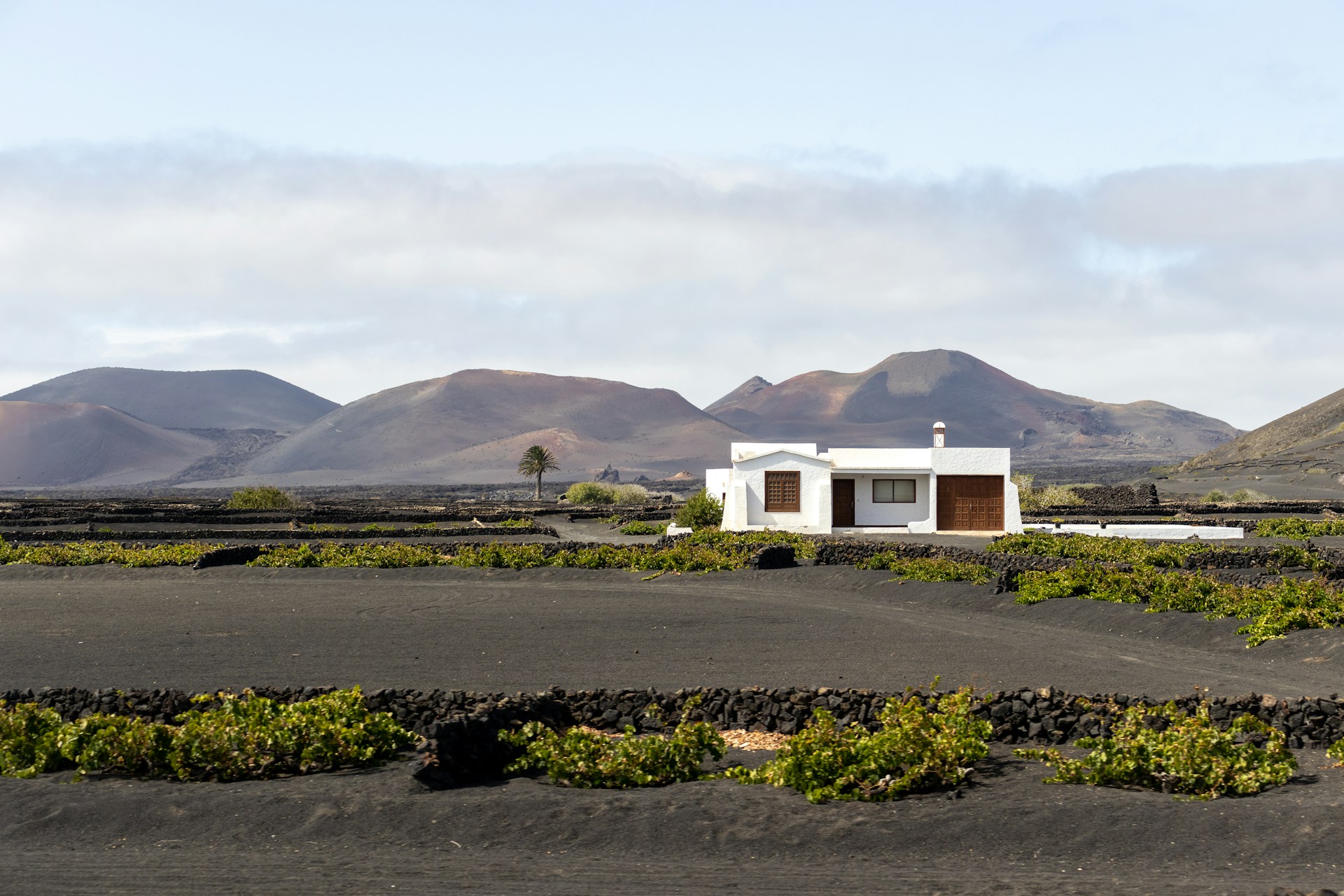 Panoramic view of La Geria in Lanzarote