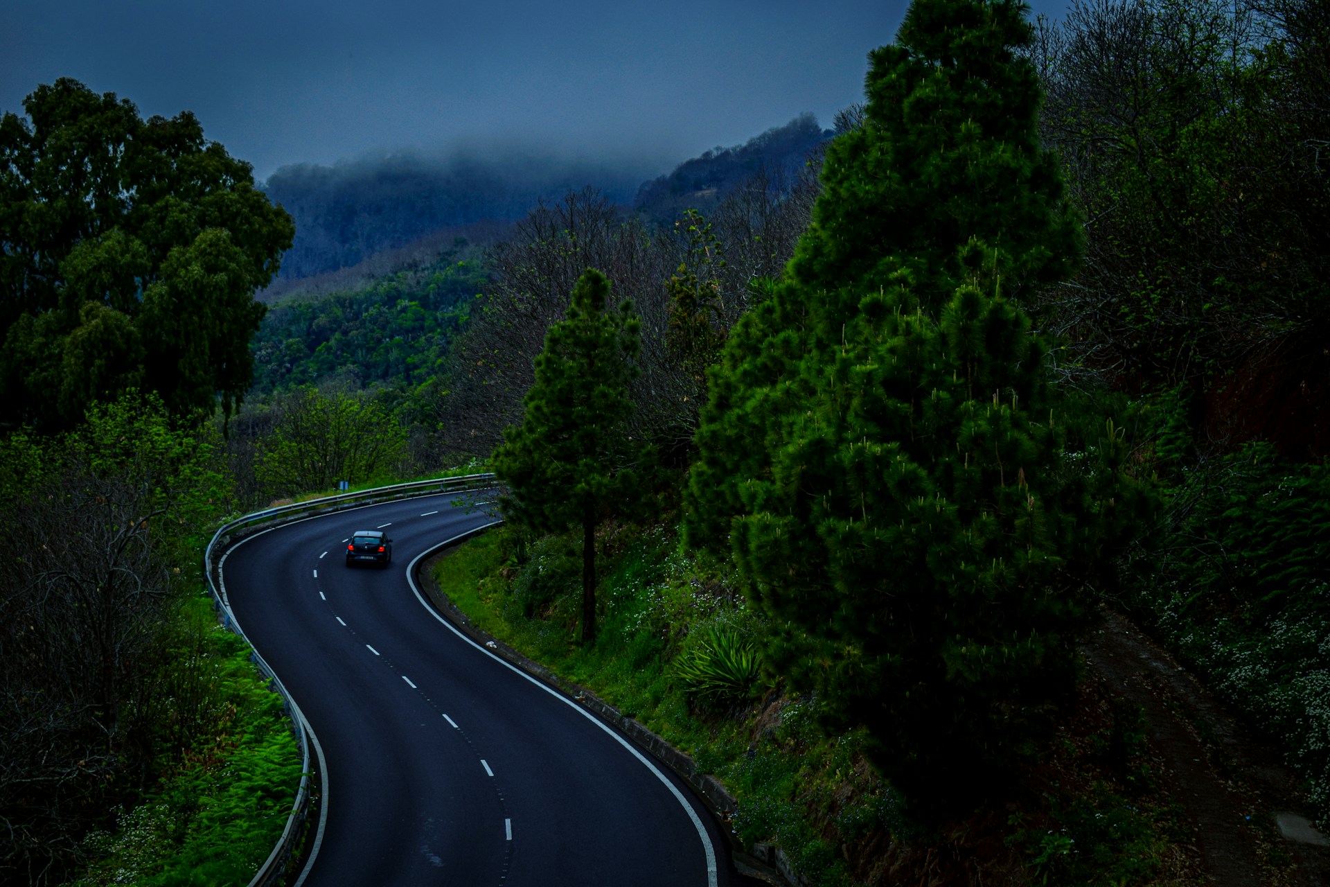 A winding mountain road cutting through La Palma’s lush green hills