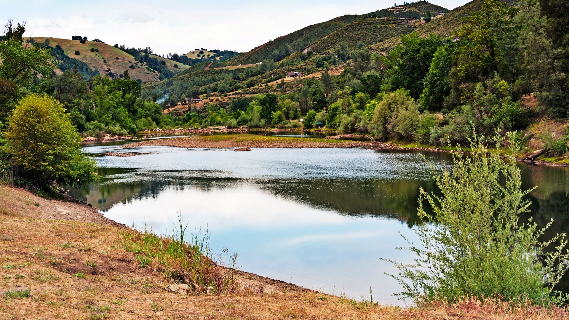 A wide-angle landscape shot captures Lake Coloma in California's Gold Country, with calm water reflecting the sky and surrounding hills. The foreground features dry, grassy earth sloping down to the water, while the background reveals tree-covered hills under a clear sky. A prominent green shrub stands on the right side of the foreground.