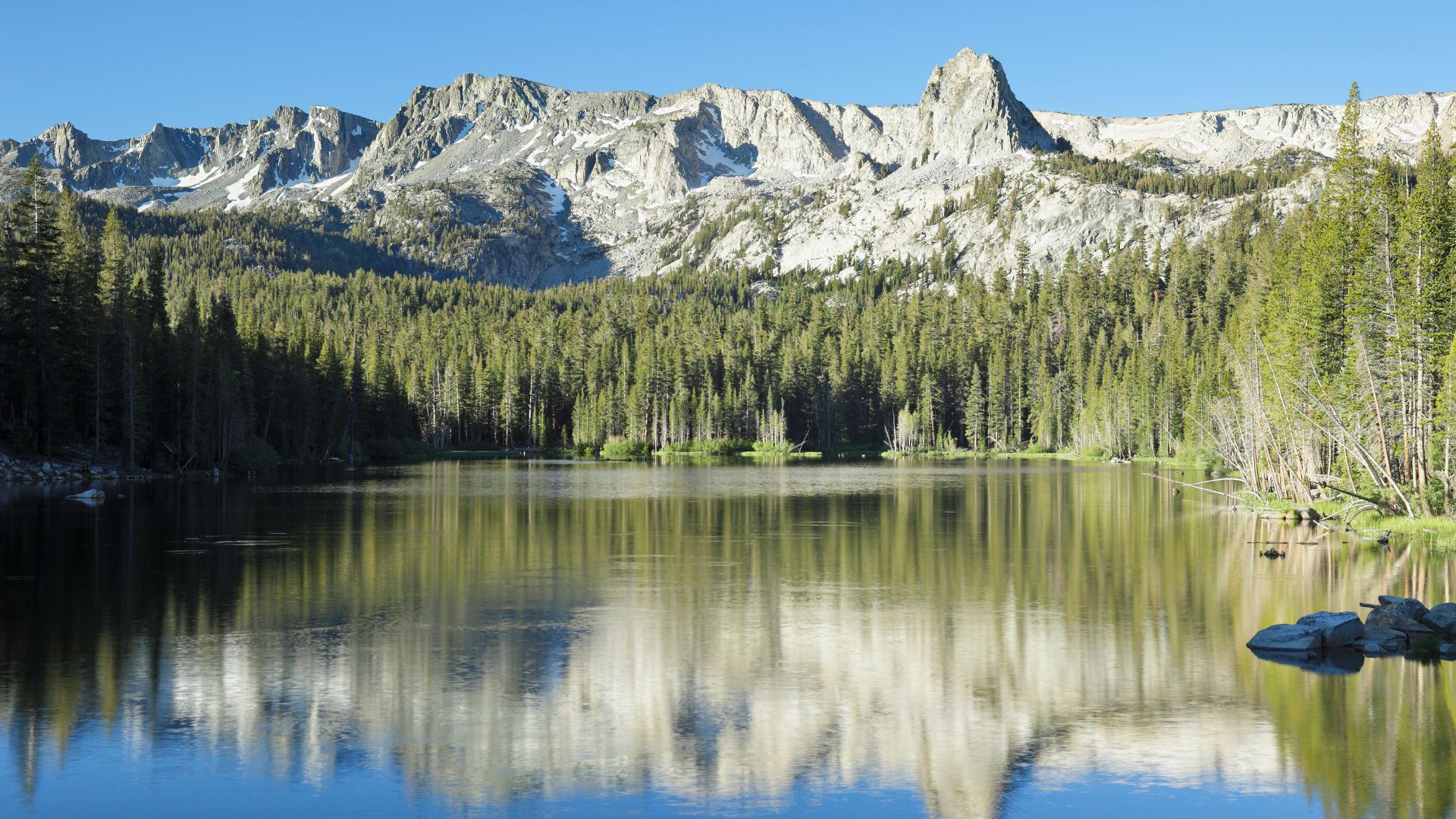 A serene mountain lake, Lake Mamie, reflects the surrounding evergreen forest and snow-capped peaks under a clear blue sky, with some rocks visible on the right shore.