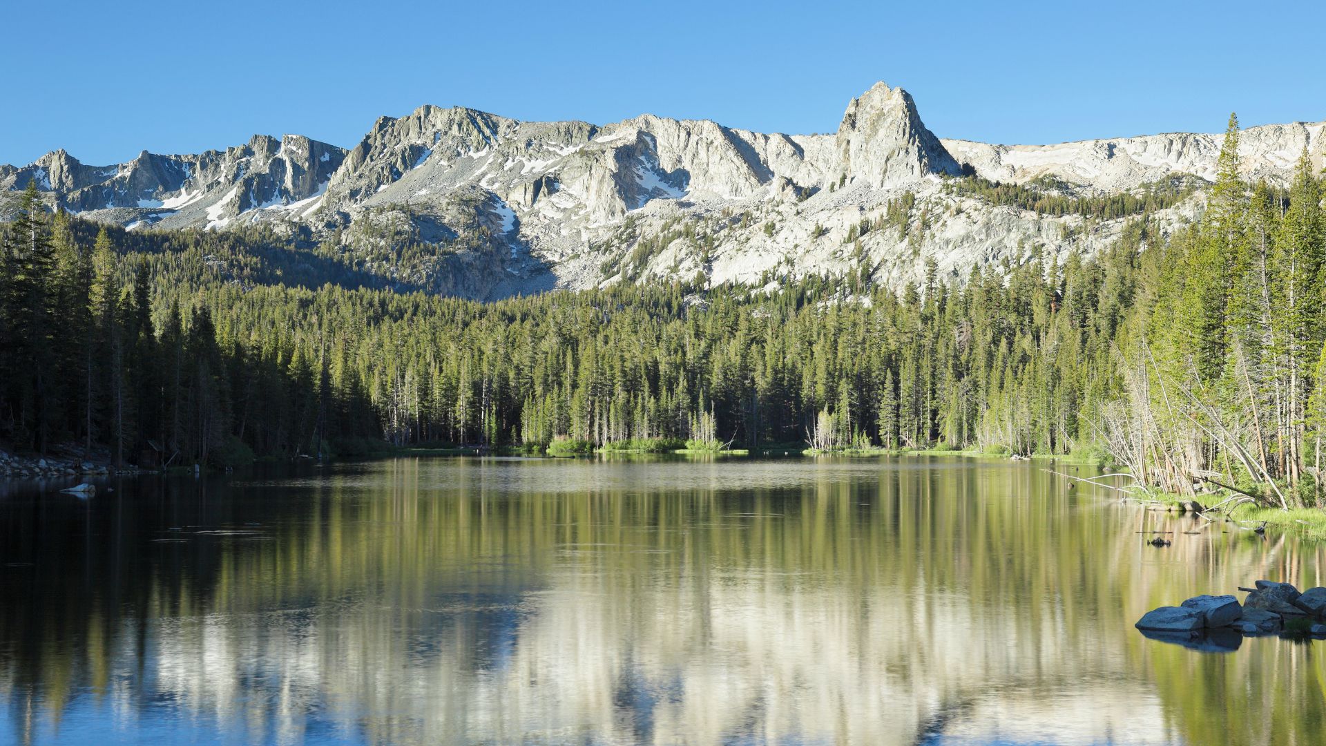 A serene alpine lake, Lake Mamie, reflects the towering, rugged peaks of the Sierra Nevada mountains under a clear blue sky. Dense evergreen forests line the lake's shores, with reflections of the trees and mountains visible on the calm water's surface.