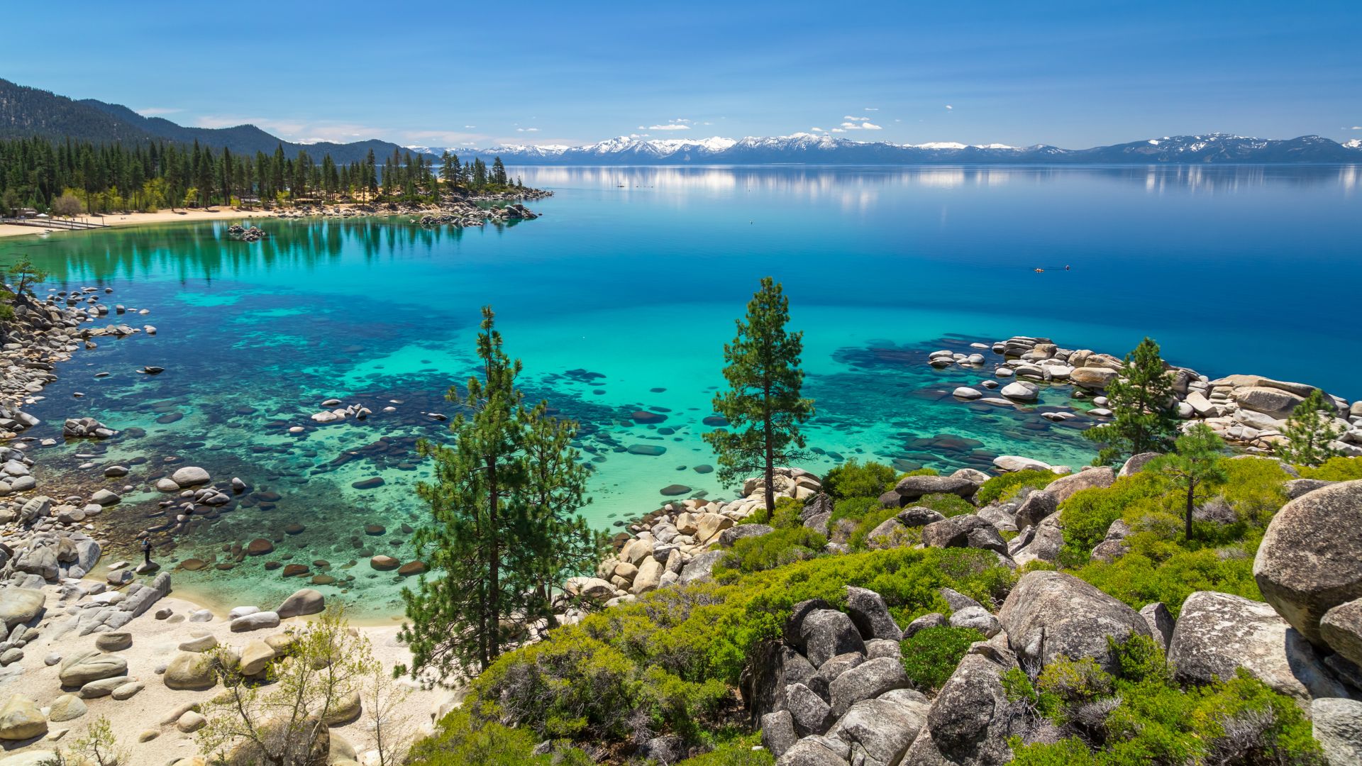 A panoramic view of Lake Tahoe, showcasing its clear turquoise water, rocky shoreline, and surrounding pine forests, with snow-capped mountains visible in the distance under a bright blue sky.