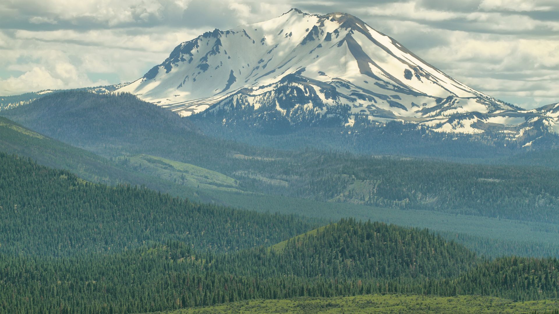 A majestic, snow-capped Lassen Peak dominates the background under a cloudy sky, with lush green forested foothills and a dark green forest stretching across the middle and foreground.