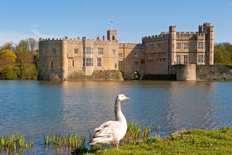 Is Leeds Castle More Magical in Summer Blooms or Autumn Hues? My Seasonal Musings