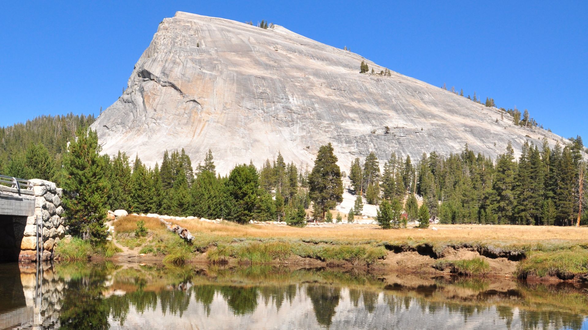 A wide shot of Lembert Dome, a large, smooth granite dome, rising above a calm body of water reflecting the dome and surrounding pine trees under a clear blue sky. A small bridge is visible on the left, and a grassy meadow with scattered trees lies between the water and the base of the dome.