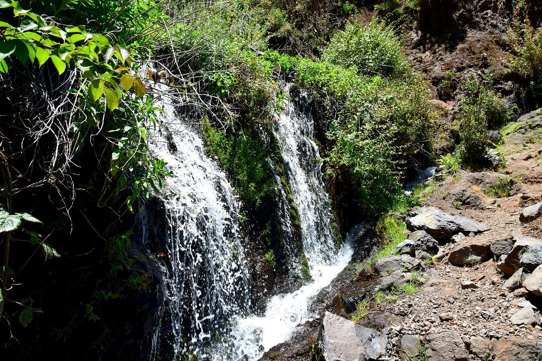 A scenic waterfall cascading down rocks in the Los Tilos Biosphere Reserve