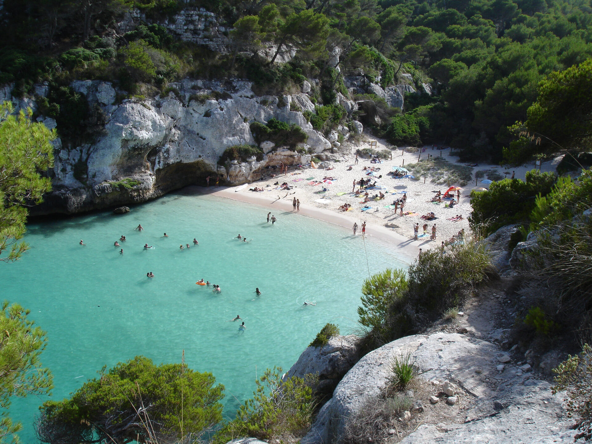 Macarelleta