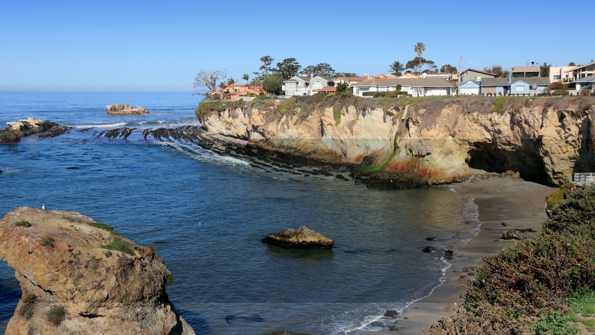 A scenic view of the Pacific Ocean coastline at Margo Dodd Park in Pismo Beach, California, featuring rugged bluffs with houses perched on top, a small sandy beach cove, and rock formations in the clear blue water under a bright sky.