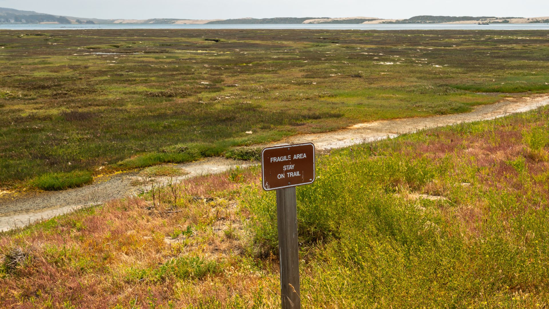 A brown sign on a dirt path in a grassy, wetland area reads "FRAGILE AREA STAY ON TRAIL," with a body of water and hills visible in the background under a clear sky.