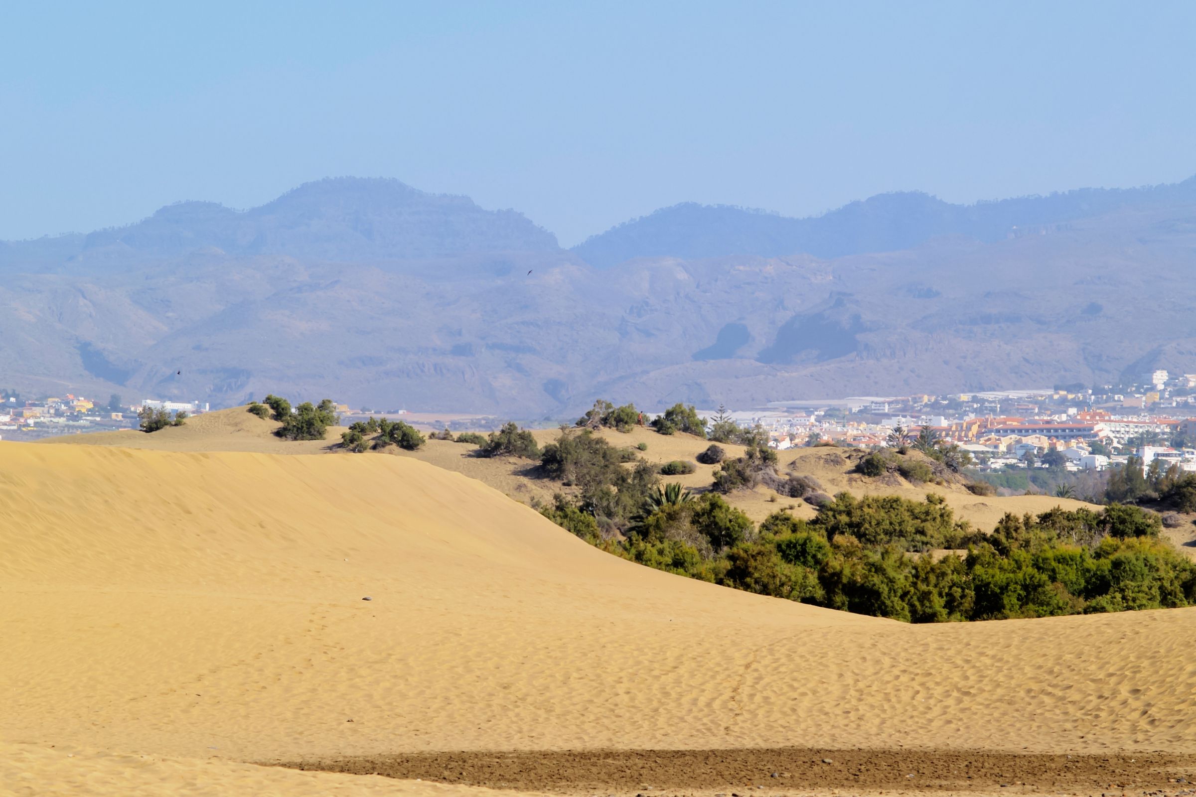 Maspalomas Dunes