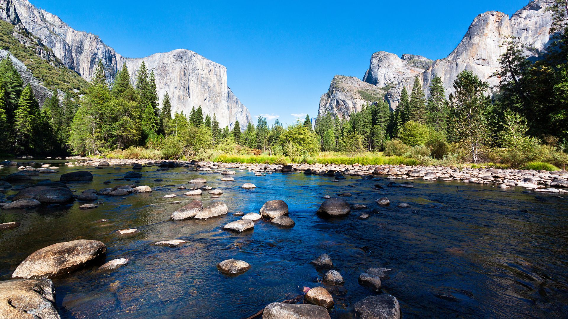 A wide-angle landscape photograph captures the Merced River flowing through Yosemite Valley, with prominent granite formations like El Capitan and Half Dome in the background under a clear blue sky. The river is dotted with rocks, and the valley floor is densely forested with pine trees.