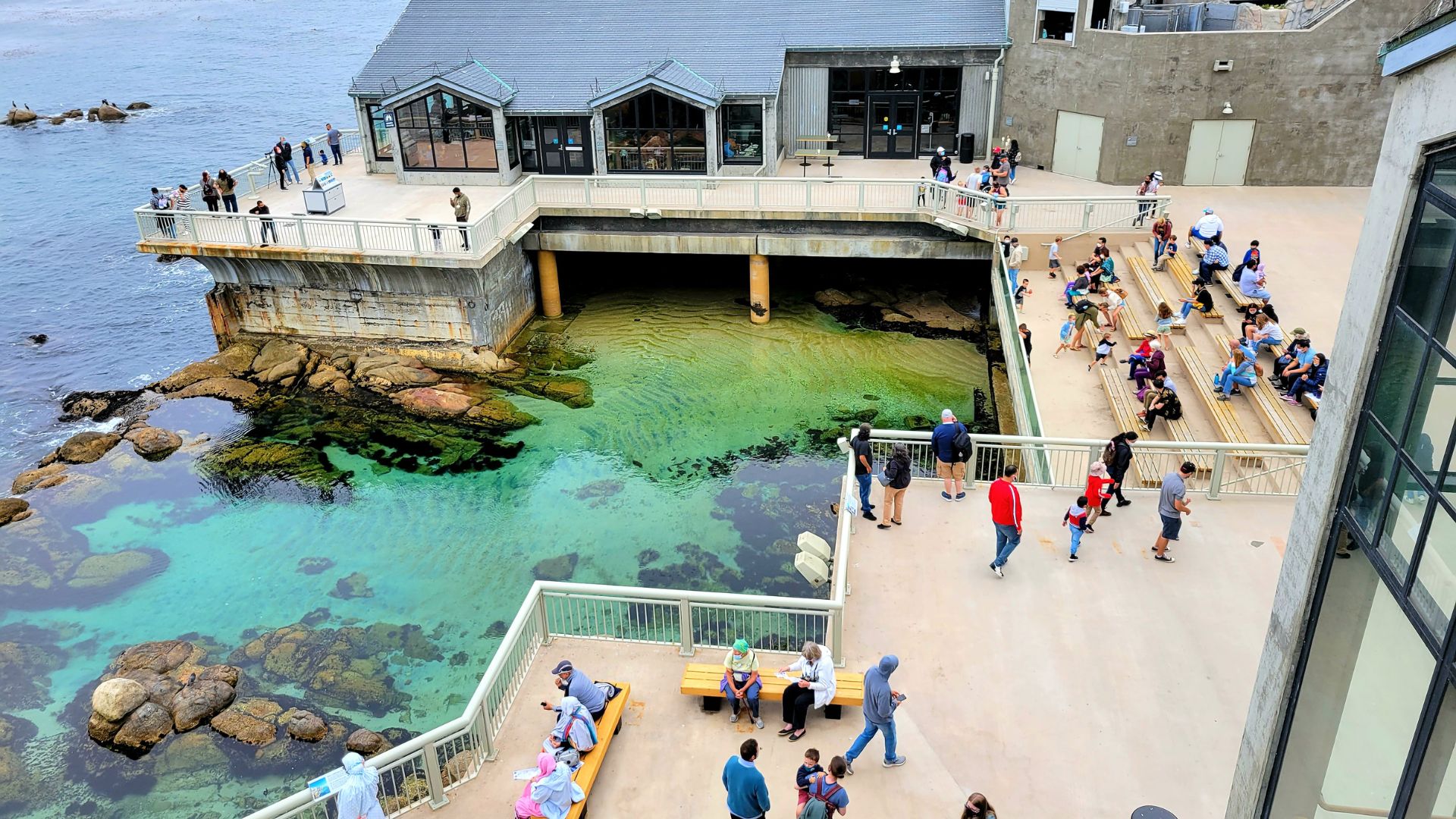 A waterside view of the Monterey Bay Aquarium, a large, multi-story building with a distinctive industrial-style architecture, situated on the edge of the Monterey Bay with hills and residential buildings in the background.