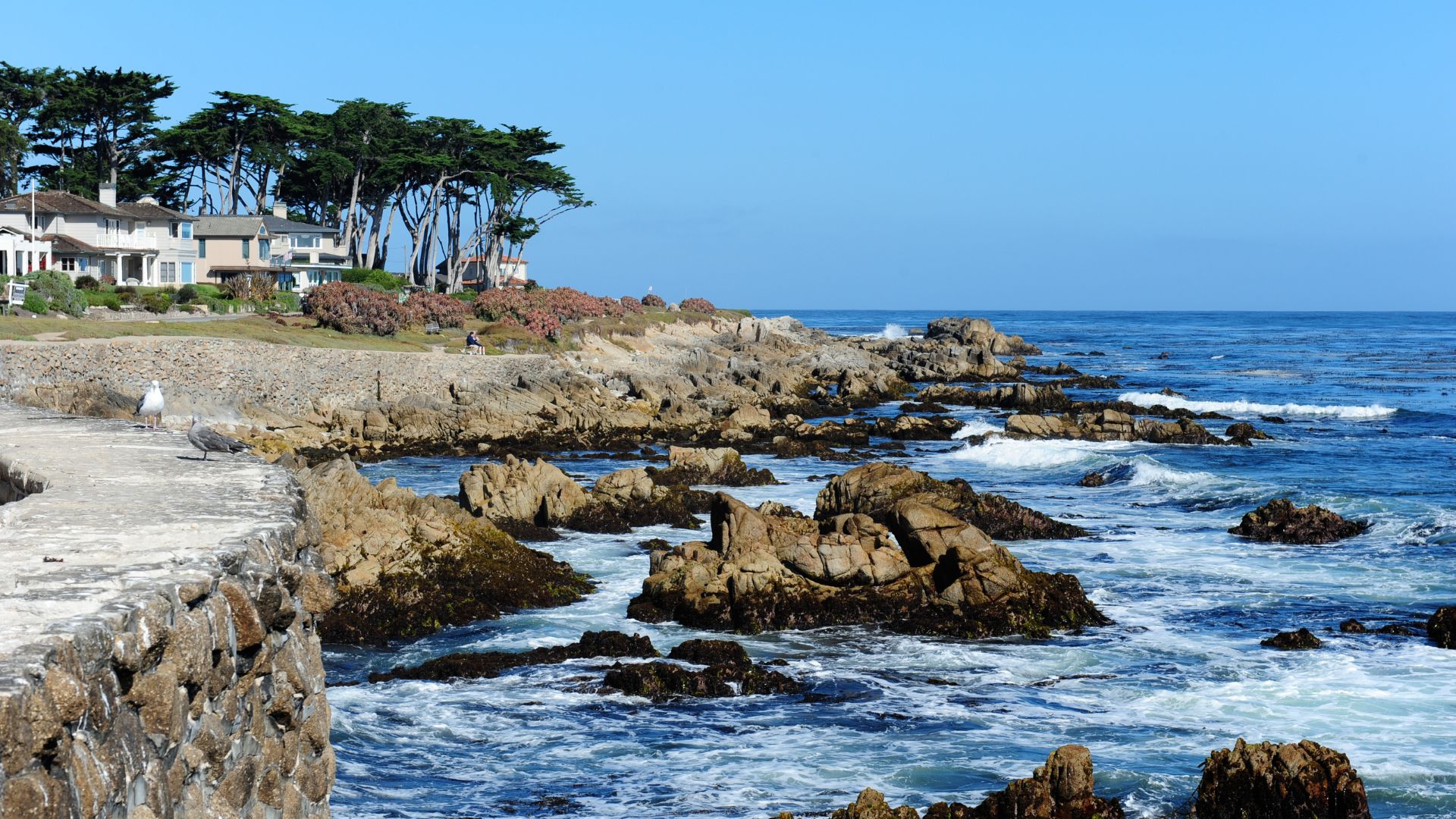 An image showing a scenic view of the California coast, with waves breaking on rocky shores, residential buildings and trees on a hillside, and a clear blue sky overhead. 