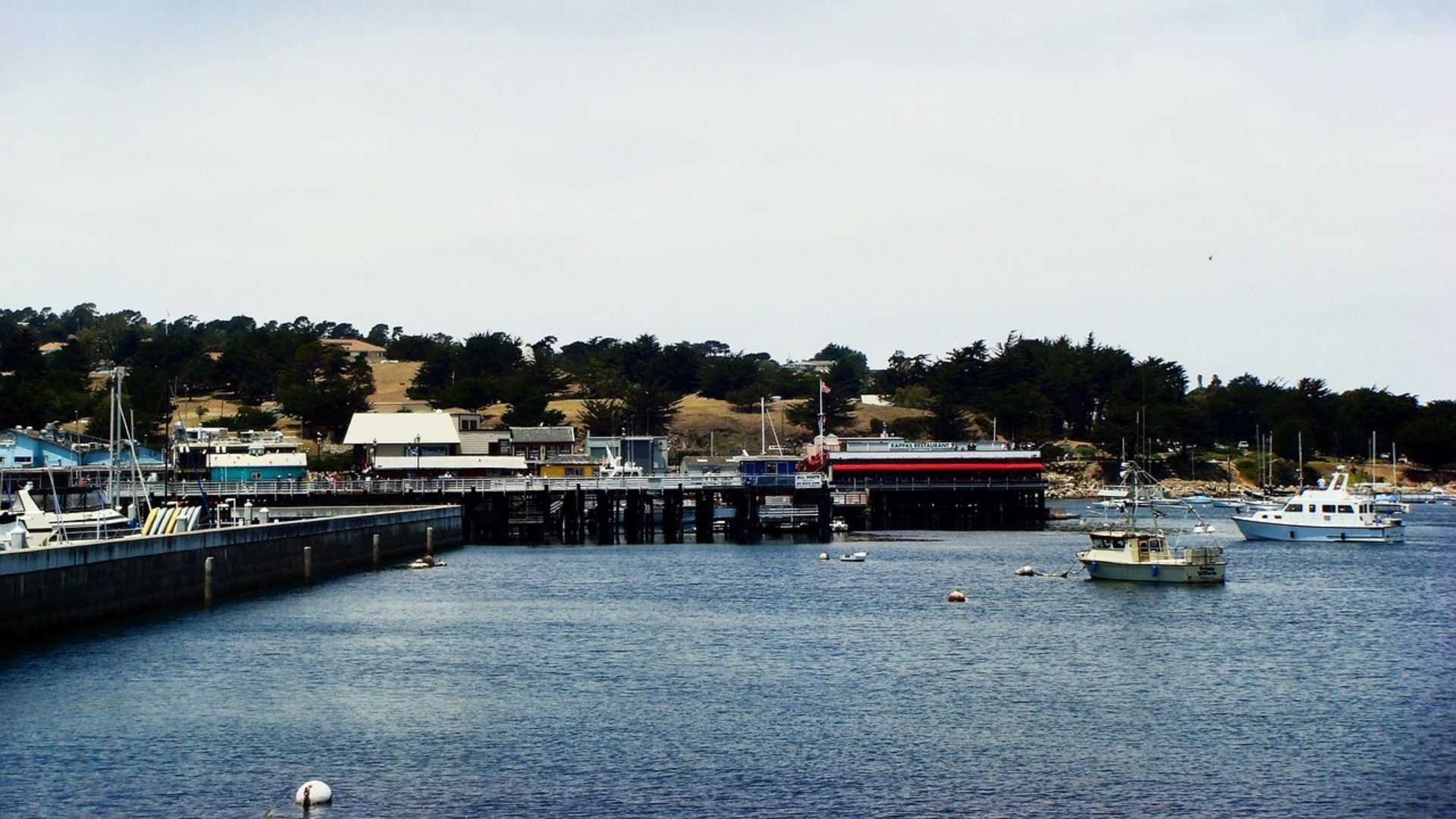 A wide view of Monterey Bay, California, showing a pier extending into the water with boats docked alongside and anchored in the bay, backed by a tree-covered hillside with buildings. The sky is partly cloudy.