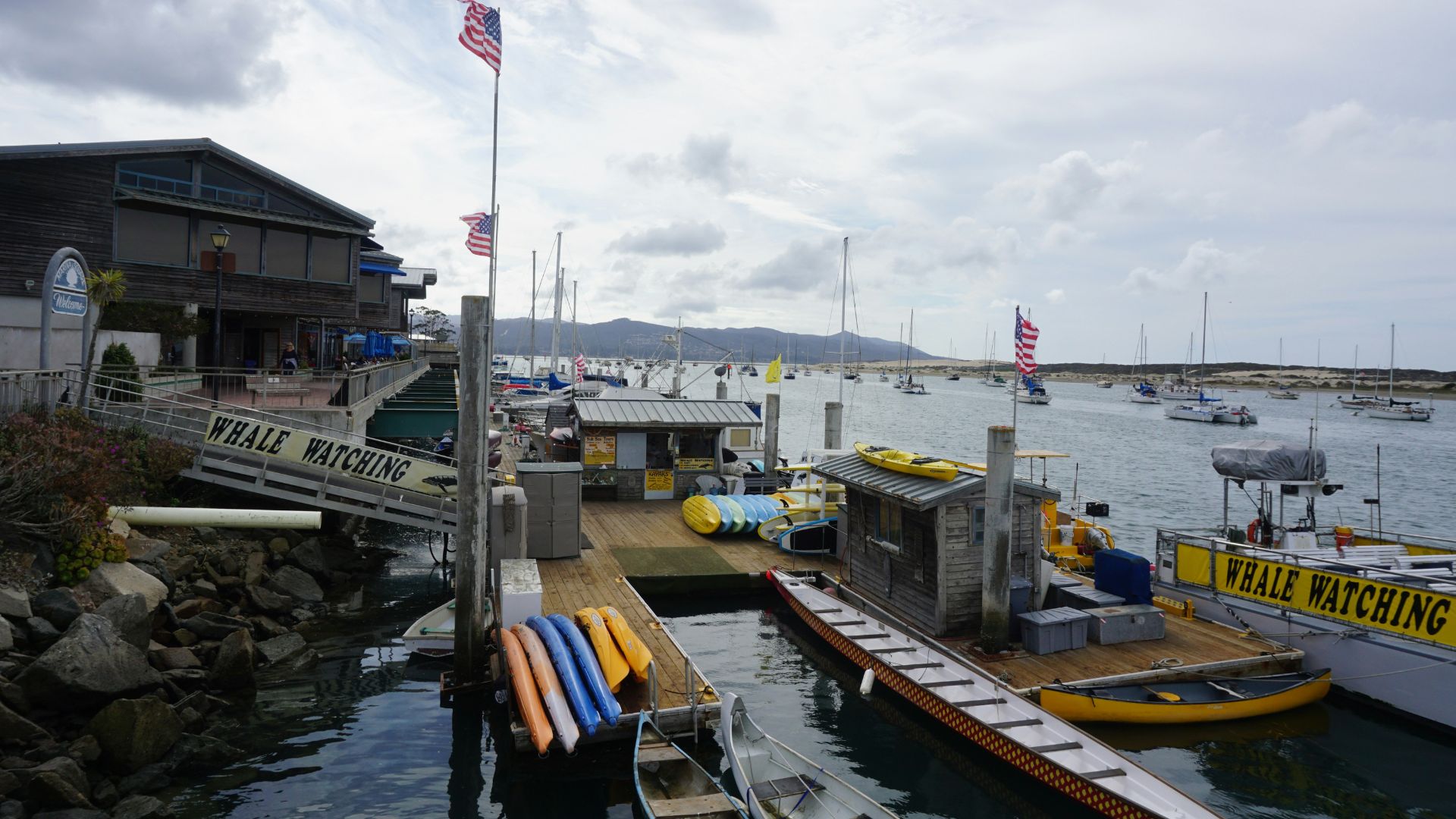 A serene sunset scene at Morro Bay, California, featuring a winding creek flowing into the ocean, with a sandy beach and distant mountains under a warm, orange sky. A wooden fence lines the path on the left, and sparse coastal vegetation is visible in the foreground.