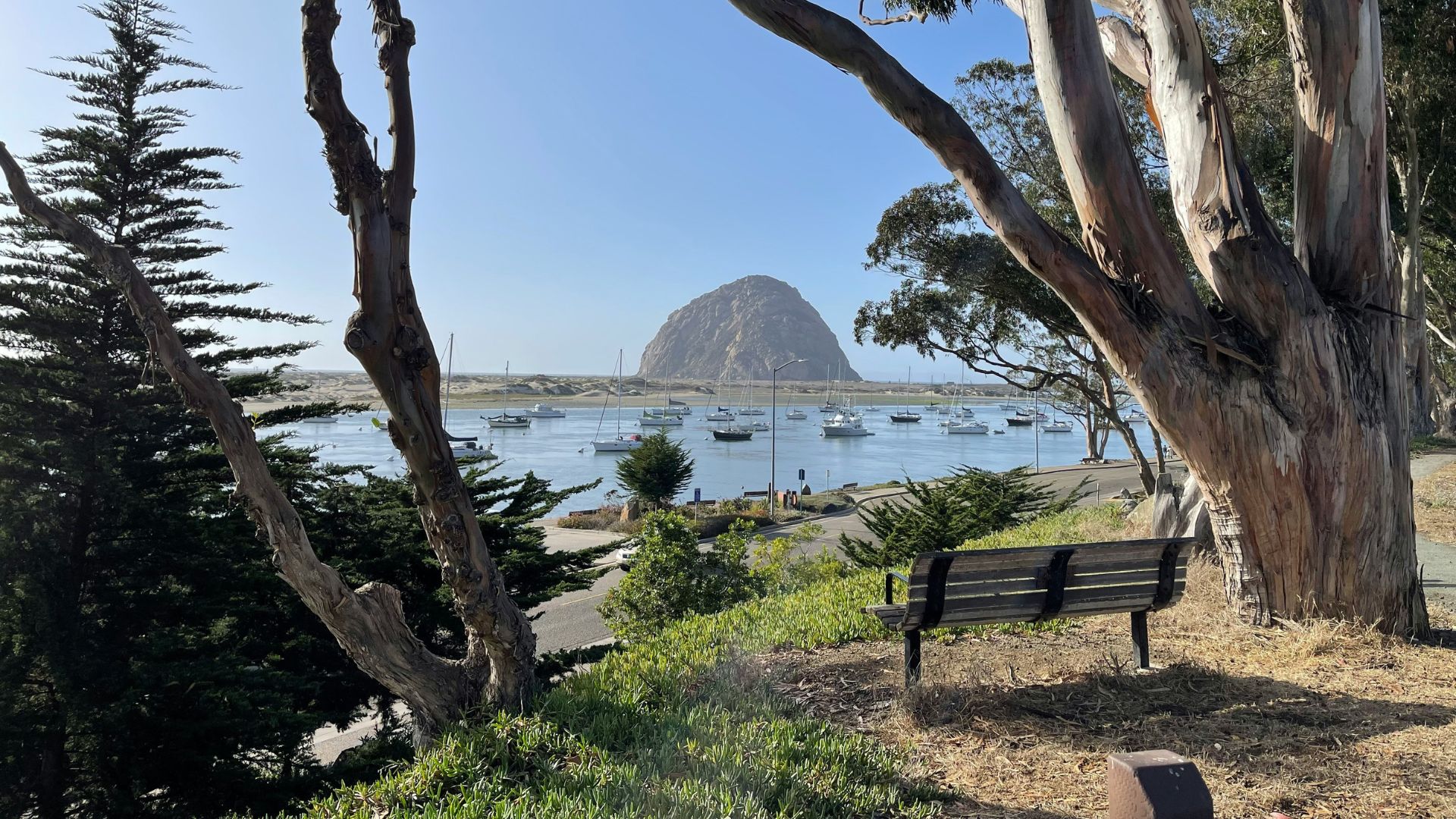 A serene view of Morro Bay, California, with the iconic Morro Rock in the distance, framed by lush green trees and a calm body of water dotted with boats, under a clear blue sky.