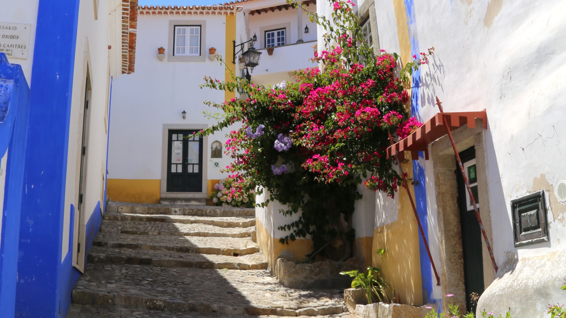 A picturesque, narrow cobblestone street with steps, lined by traditional whitewashed houses with colorful accents and a vibrant flowering plant, located within the historic town of Óbidos, Portugal.