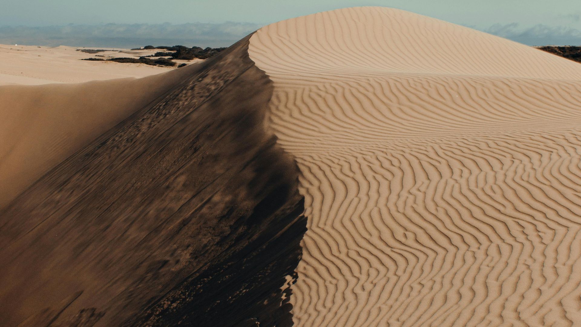 A striking photograph of a large, curving sand dune with textured ripples on its sunlit face, casting a long shadow on its leeward side under a clear, pale blue sky.
