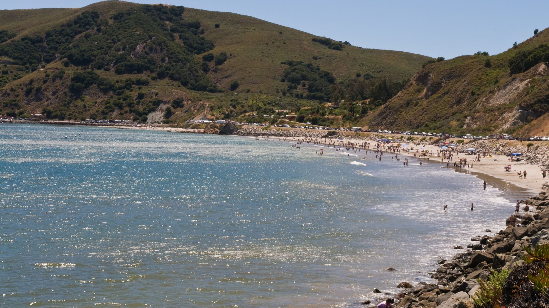 A sunny wide shot of Olde Port Beach in Avila Beach, California, showing a sandy beach with numerous people enjoying the water and shore, framed by the sparkling blue ocean and rugged, green hills in the background. 