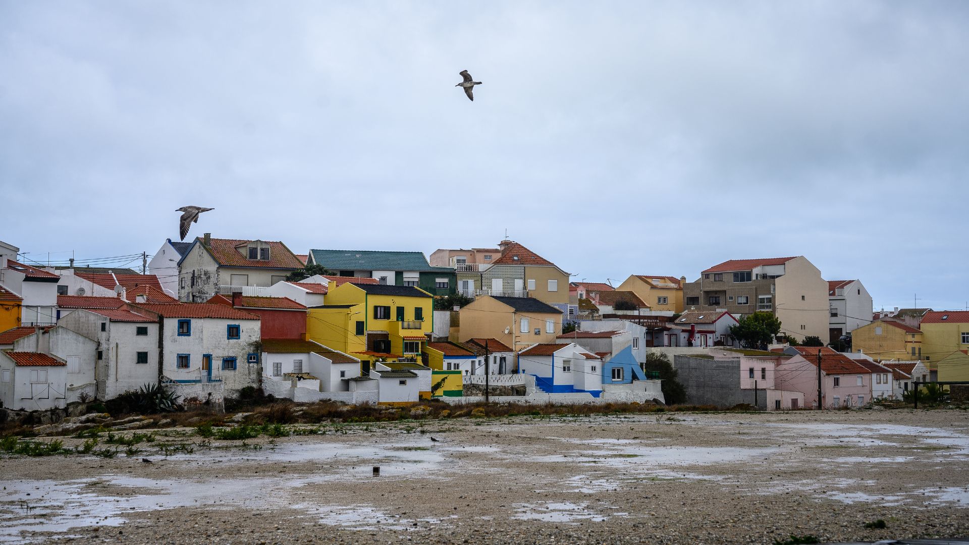 A panoramic view of Peniche, Portugal, showcasing a cluster of colorful, traditional houses with terracotta roofs.