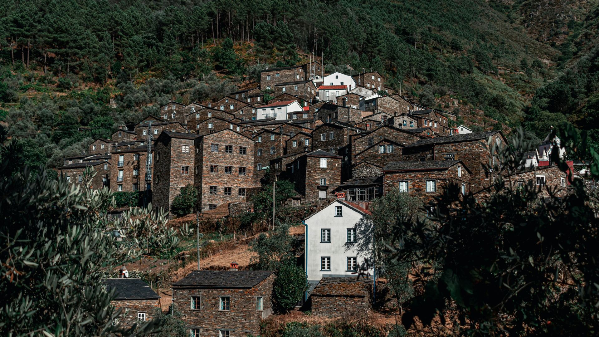 A high-angle view of Piódão, a historic Portuguese village with numerous schist houses featuring dark roofs and blue-painted details, nestled harmoniously into a green, terraced mountain landscape.