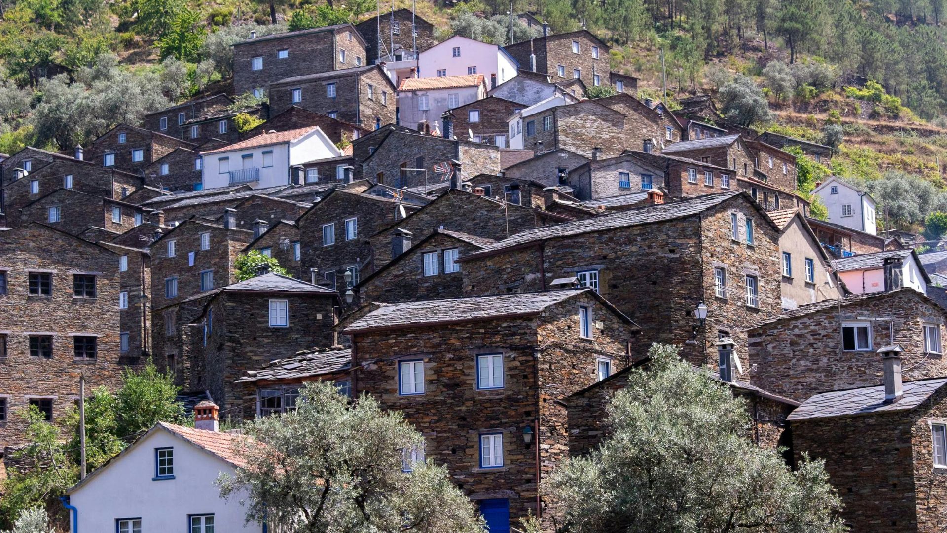 A high-angle view of Piódão, a historic Portuguese village with numerous schist houses featuring dark roofs and blue-painted details, nestled harmoniously into a green, terraced mountain landscape.